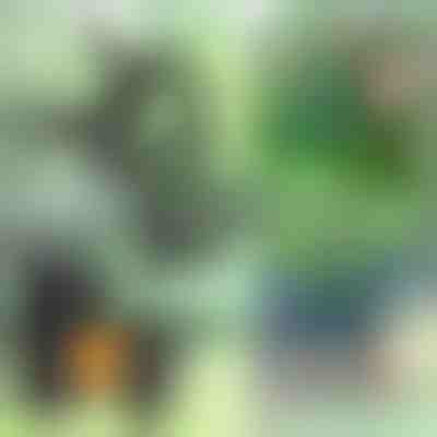 Növénycsipesz (14db) | PLANTPIN