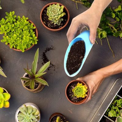 Talajkanalazás | SCUP