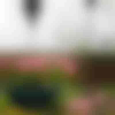 Behúzható növénytartó | PLANTPULL