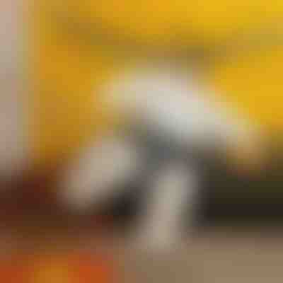 Felfújható szumó jelmez | SUMOCOS