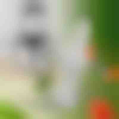 Extra kések a MULTIMINCER-hez | MULTIBLADE