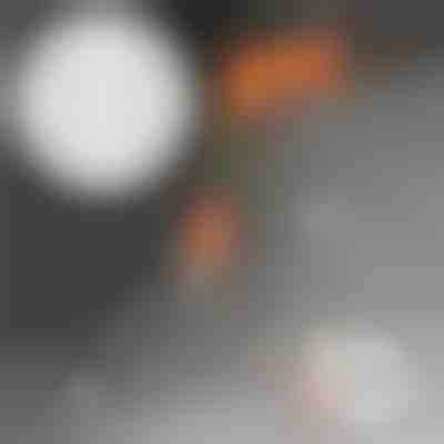 50 extra szög | MORENAILS